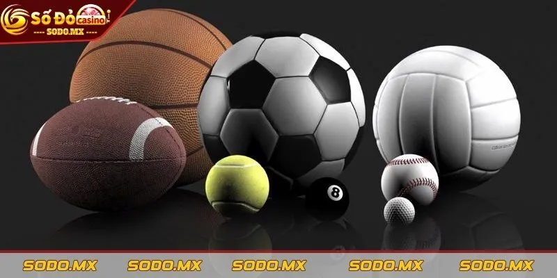 Cá cược bóng rổ đỉnh cao